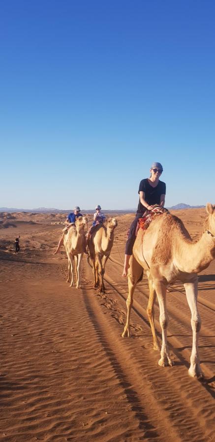 Al Camp Campsite Hawiyah
